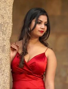 call girl service in Narayangarh